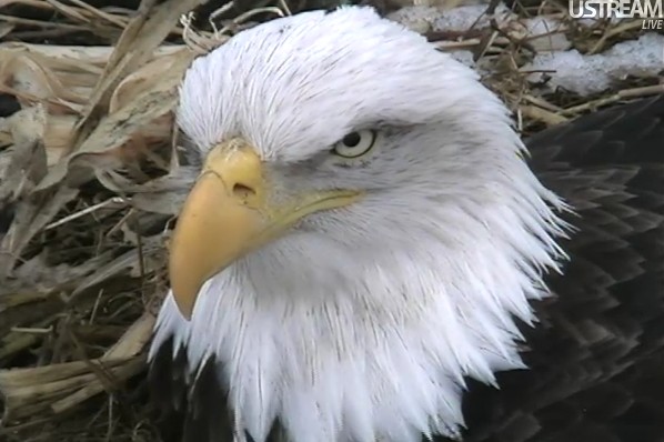 ScreenHunter_28 Feb. 21 11.06.jpg